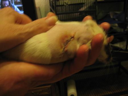   CINDY   & SON OPERATION  .