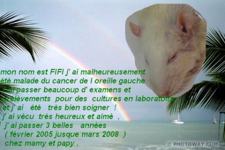 FIFI NOUS A QUITTER AUSSI .