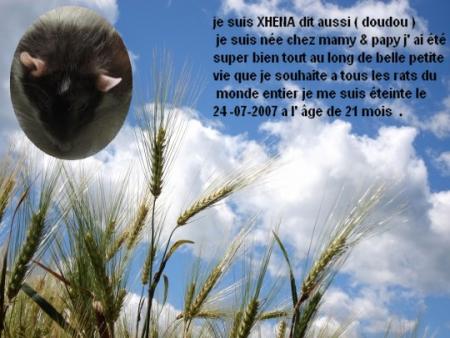 DOUDOU FAIT UN GROS DODO POUR L'ETRNITE .