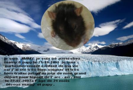 JIMMY ADORABLE PETIT ANGE NOUS QUITTE EGALEMENT