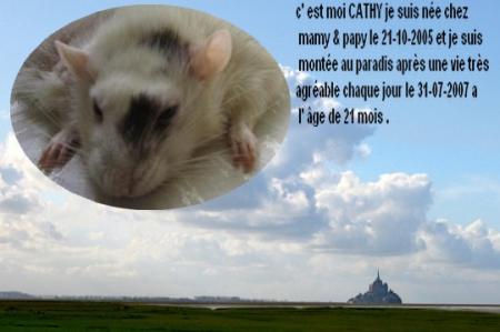 CATHY  UN ANGE NOUS A QUITTER  .