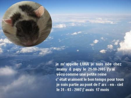 LUNA UN ANGE NOUS QUITTE .