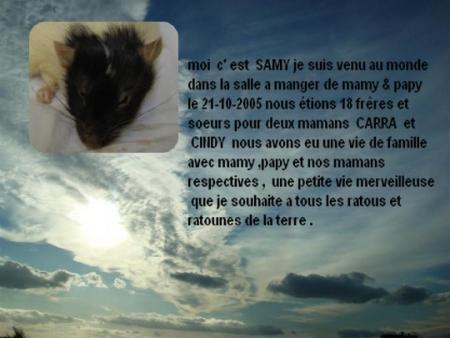 SAMY NOUS A QUITTE CE SOIR .