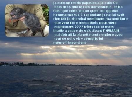 UN MONDE DE DESTRUCTION TOTALE