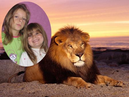 LE 800 �me  ARTICLE