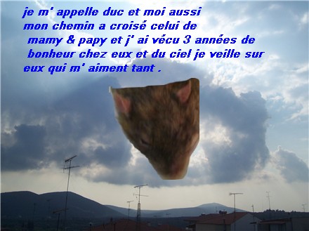 NOTRE PETIT DUC S ' EN EST ALLER AUSSI .