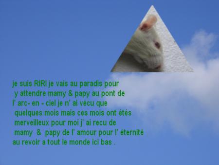 UN ANGE S EN VA  RIRI LE 17 AOUT 2006 A 17H30   .