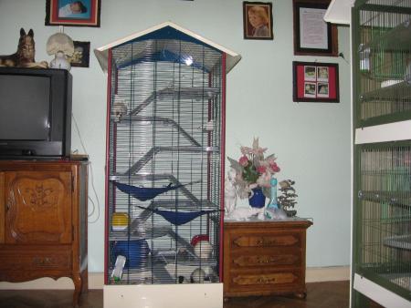 NOUVELLE MAISON  ( VOLIERE )  .