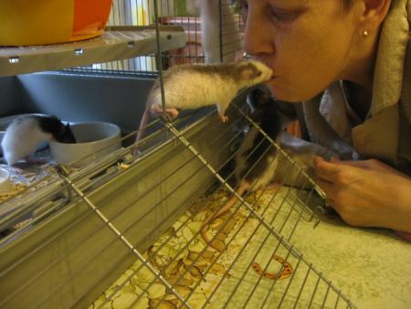  L' APPRIVOISEMENT  7