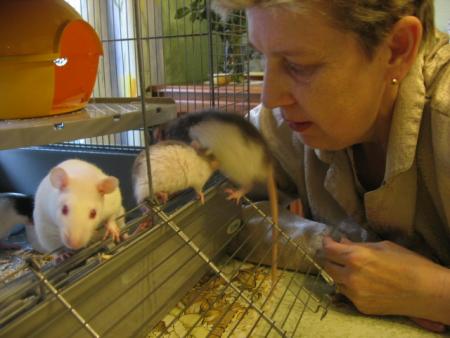  L' APPRIVOISEMENT  3