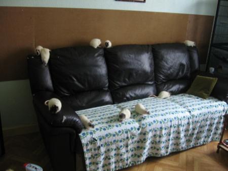 LE BON CANAPE DE MAMY & PAPY  . 2