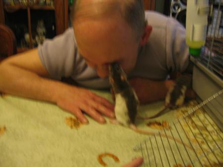  L' APPRIVOISEMENT  6