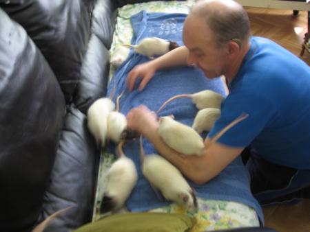 LES GATERIES ET BISOUS  .