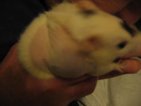 2 �me  HEMATOME POUR CATHY  .