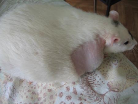 GROSSE FRAYEUR HIER AVEC CATHY  .