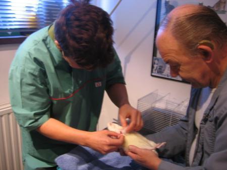 NOTRE VETERINAIRE EST FORMIDABLE   .