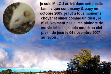 MILOU EST MONTE AU CIEL .