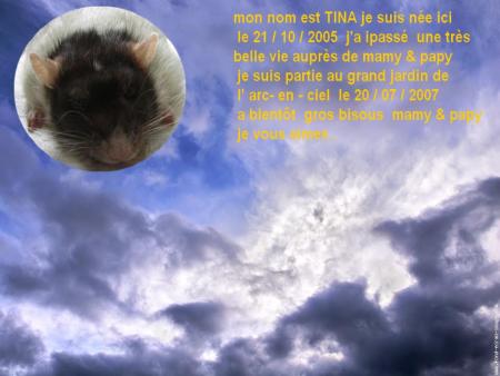 ENCORE UN ANGE QUI NOUS QUITTE SNIFF ?   TINA   .