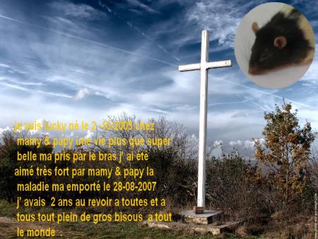 LUCKY S' EN  EST ALLER AUSSI !!!!  .