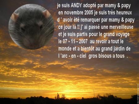   NOTRE PETIT ANGE   ANDY  NOUS   A   QUITTE  .
