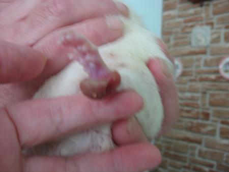 LE PROBLEME DE KIM .