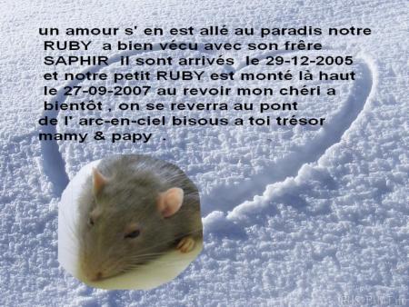  RUBY UN ANGE S 'EN EST ALLE CE 26 SEPTEMBRE 2007 A 10H00 .