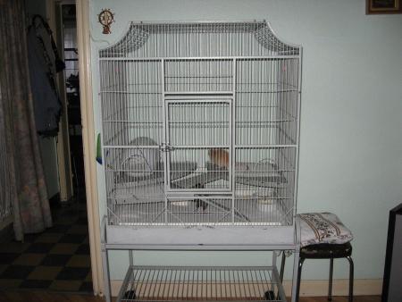 LES 2 NOUVELLES CANELLE & CHOCOLAT  DANS LEUR NOUVELLE MAISON  .