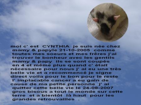 LE  GRAND  DODO  DE  CYNTHIA .