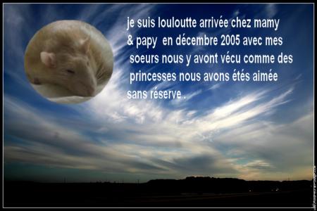 UN ANGE S'ENVOLE  LOULOUTTE  .