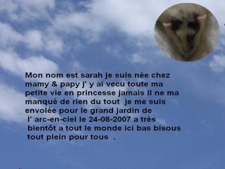 SARAH  AUSSI EST DANS LE GRAND DODO .