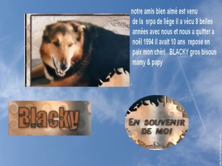 NOTRE BLACKY CHERI  .