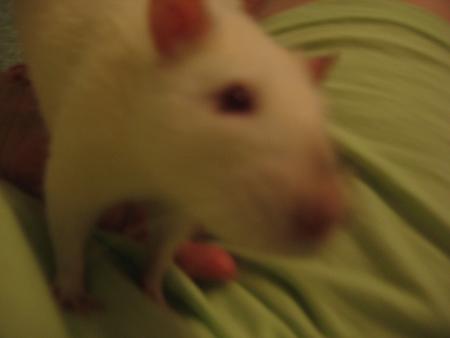 KILO  LUI AUSSI SENT LA BONNE CREME FRAICHE  .