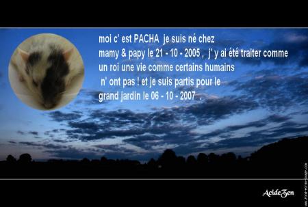  PACHA UN PETIT TRESORS NOUS  A QUITTER CET APRES - MIDI .