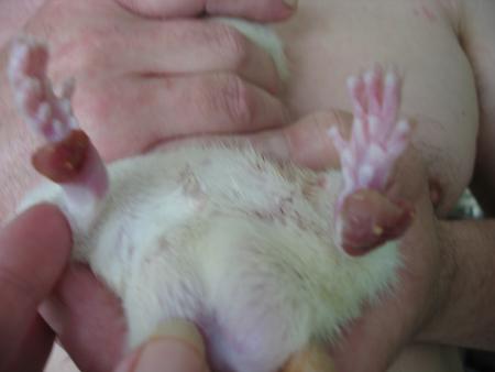 PROBLEME  DE NOTRE PETIT KIM  .