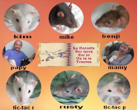 LE BONHEUR SUR TERRE  .