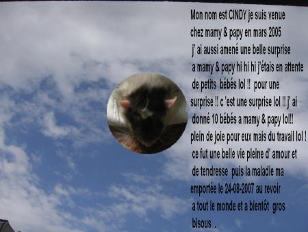 LE GROS DODO POUR CINDY AUSSI .