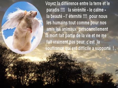 LE PARADIS DES ANIMAUX