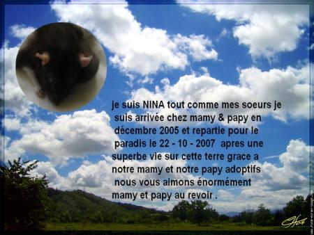 NINA  UN PETIT ANGE NOUS QUITTE .