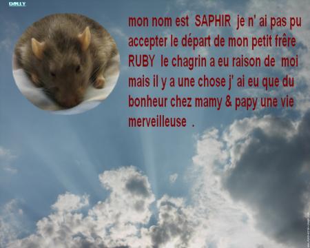 SAPHIR NOUS A QUITTE .