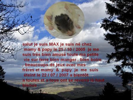 UN ANGE NOUS QUITTE  MAX  .