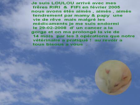 LOULOU NOUS A QUITTER  !  .