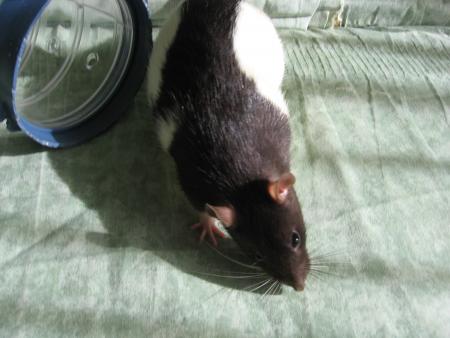 JASON ACCIDENT VASCULAIRE   .