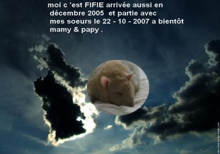 FIFIE UN ANGE NOUS QUITTE .