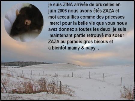 NOTRE PETIT ANGE  ZINA  NOUS A QUITTER CE MATIN