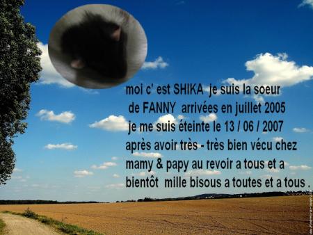 SHIKA  NOUS A QUITTE  CET APRES-MIDI