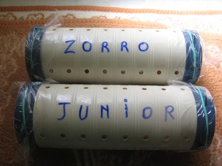 LES DERNIERES DEMEURES DE  JUNIOR  &  ZORRO.