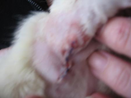  2 �me OPERATION DE  CINTHYA   .