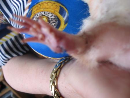 SHIKA 3 �me PHOTO SANS COMMENTAIRE !  MERCI  .