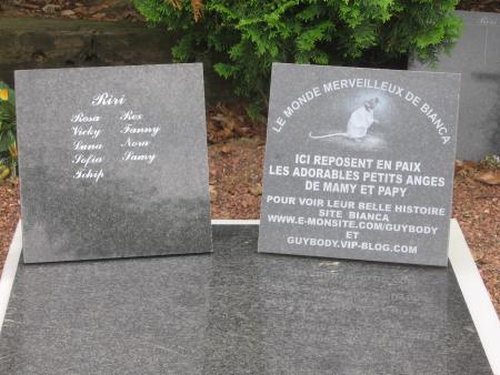 LA  SEPULTURE  DE NOS PETITS ANGES  2�me PHOTO  .