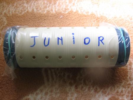 LA DERNIERE MAISON DE JUNIOR  .